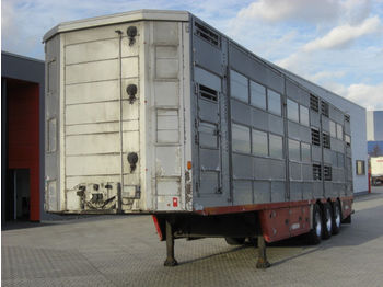 Semi-reboque transporte de gado Pezzaioli SBA63U / 3 Achsen / BPW-Achsen / 3 Stock: foto 1
