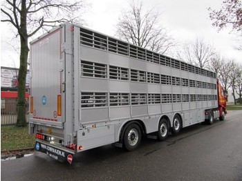 Semi-reboque transporte de gado novo Pezzaioli SBA 63 S: foto 1