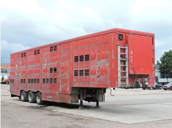 PEZZAIOLI SBA 36 S1 - Semi-reboque transporte de gado