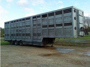 Pezzaioli 3 stock. schweine auflieger  - Semi-reboque transporte de gado
