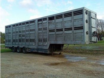Pezzaioli 3 stock. schweine auflieger  - Semi-reboque transporte de gado