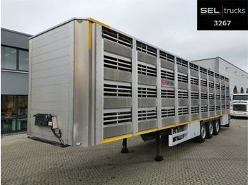 Pezzaioli CIMC / SR03 / 4 Stock / Typ 2 / Ferkeltransporte  - Semi-reboque transporte de gado