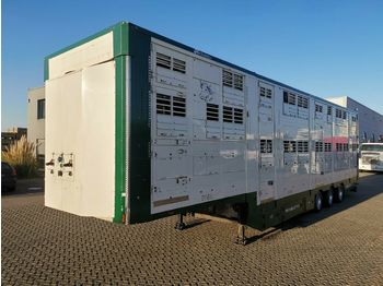 Pezzaioli Michieletto SM39 / 3 Stock / Thermoking  - Semi-reboque transporte de gado