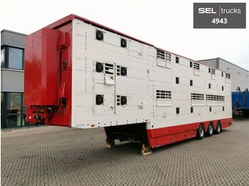 Pezzaioli SBA31U / Wassertank / Liftachse / 2 Stock  - Semi-reboque transporte de gado