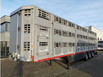 Pezzaioli SBA63U / 3 Stock / Hubdach / BPW  - Semi-reboque transporte de gado