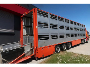 Semi-reboque transporte de gado