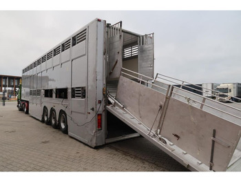 Semi-reboque transporte de gado BURG