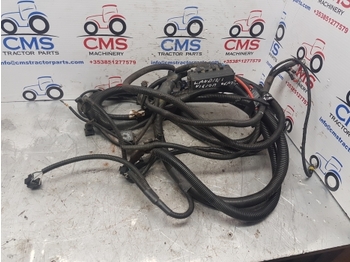 Cables/ Wire harness LANDINI