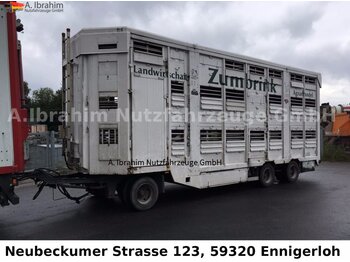 Reboque transporte de gado