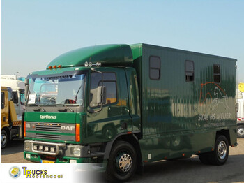 Camião de transporte de cavalos DAF CF 65 180