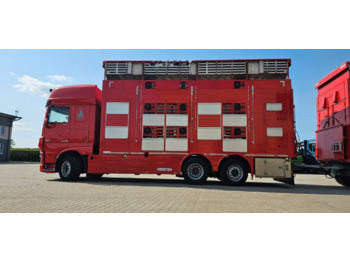 Camião transporte de gado DAF XF 105 510