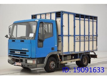 Camião transporte de gado IVECO