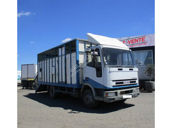 Camião transporte de gado IVECO EuroCargo 80E