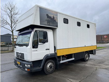 Camião de transporte de cavalos MAN