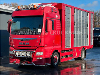 Camião transporte de gado MAN TGX 18.580