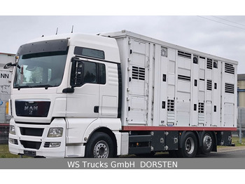 Camião transporte de gado MAN TGX 26.440