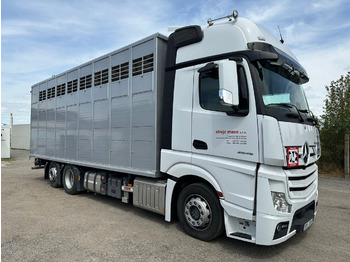 Camião transporte de gado MERCEDES-BENZ Actros 2545