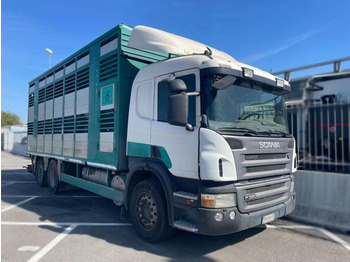 Camião transporte de gado SCANIA P 380