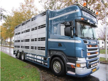 Camião transporte de gado SCANIA R 500