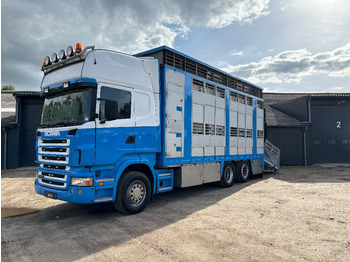 Camião transporte de gado SCANIA R 420