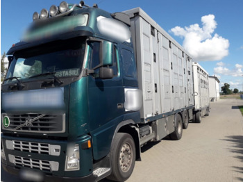 Camião transporte de gado VOLVO FH12