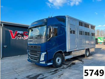 Camião transporte de gado VOLVO FH 500