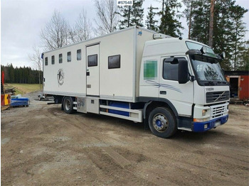Camião transporte de gado VOLVO FM7