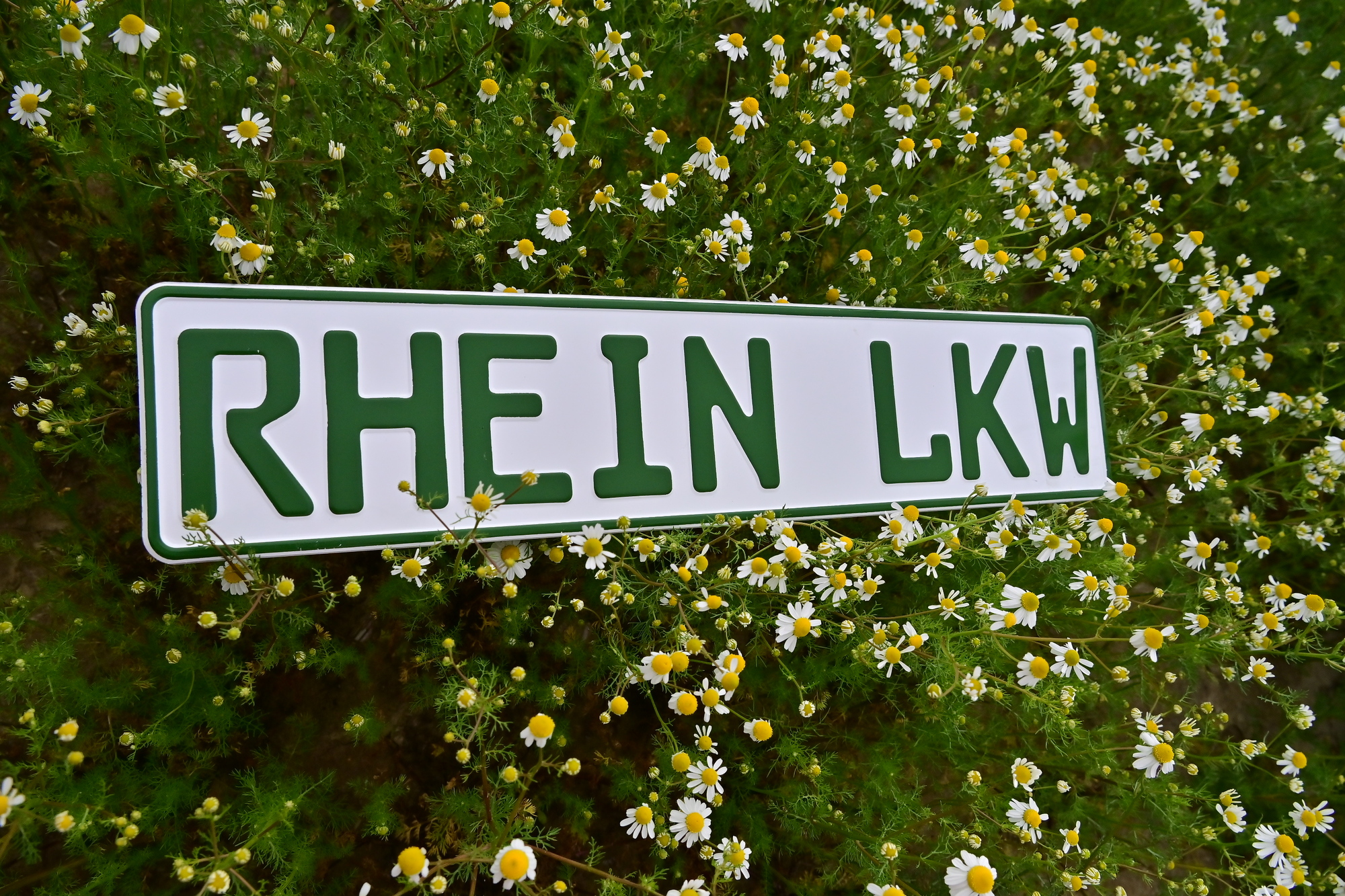 Rhein Trucks GmbH undefined: foto 8