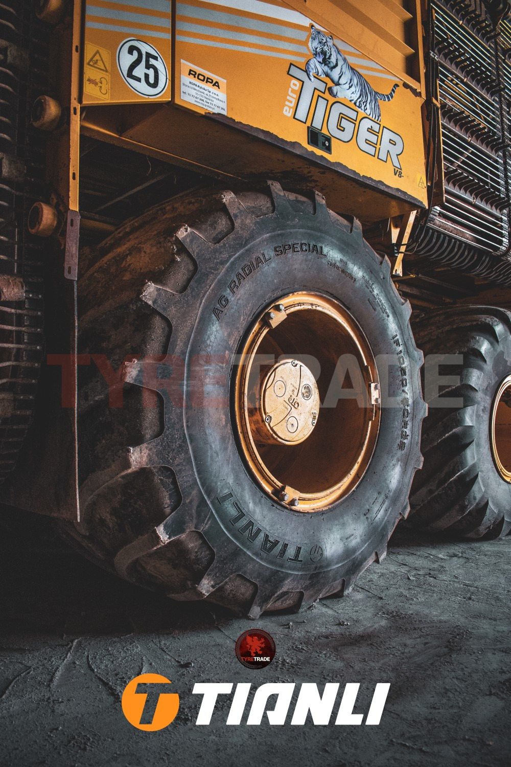 Tyre Trade Michał Nibelski undefined: foto 4