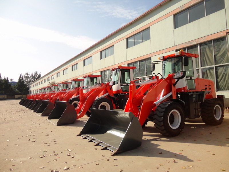 QINGDAO PROMISING INTERNATIONAL CO., LTD. undefined: foto 4