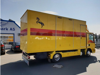 Camião de transporte de cavalos MAN TGL 10.180 Euro 4  Pferdetransporter Horse: foto 4