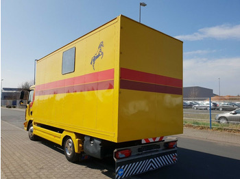 Camião de transporte de cavalos MAN TGL 10.180 Euro 4  Pferdetransporter Horse: foto 5