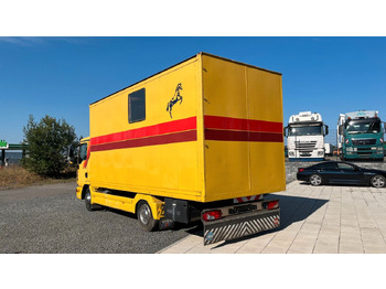 Locação financeira de MAN TGL 10.180 Euro 4 Pferdetransporter Horse MAN TGL 10.180 Euro 4 Pferdetransporter Horse MAN TGL 10.180 Euro 4 Pferdetransporter Horse MAN TGL 10.180 Euro 4 Pferdetransporter Horse: foto 5 Locação financeira de MAN TGL 10.180 Euro 4 Pferdetransporter Horse MAN TGL 10.180 Euro 4 Pferdetransporter Horse MAN TGL 10.180 Euro 4 Pferdetransporter Horse MAN TGL 10.180 Euro 4 Pferdetransporter Horse: foto 5