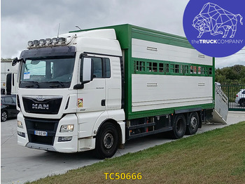 Camião transporte de gado MAN TGX