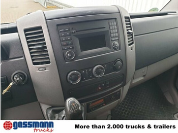 Furgão Mercedes-Benz Sprinter 313 KA 4x2: foto 2