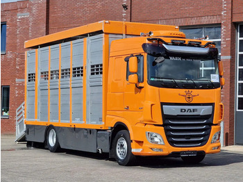 Camião transporte de gado DAF XF 530