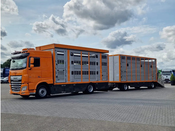 Camião transporte de gado DAF XF 530 4x2 - Livestock Menke + 2018 Menke trailer 2 deck - Water + Ventilation - Lifting roof: foto 3
