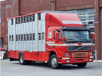 Camião transporte de gado VOLVO FL