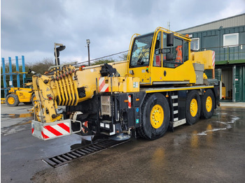 Grua móvel DEMAG
