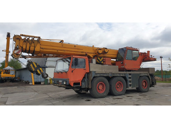 Grua móvel LIEBHERR LTM 1050/1