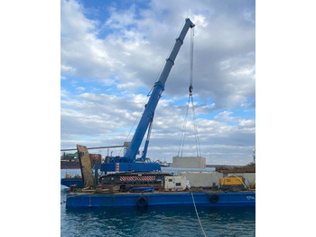 Guindaste sobre esteiras LIEBHERR