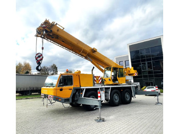 Grua móvel TADANO ATF 45-3