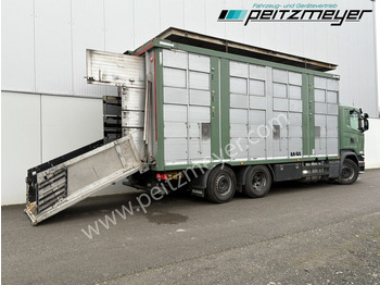 Camião transporte de gado Scania G 450 6x2, Kaba 3-Stock, Hubdach Lenk + Lift,: foto 4 Camião transporte de gado Scania G 450 6x2, Kaba 3-Stock, Hubdach Lenk + Lift,: foto 4