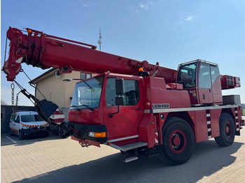 Grua todo o terreno LIEBHERR LTM 1030-2.1