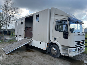 Camião de transporte de cavalos IVECO
