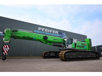 : foto do cabeçalho