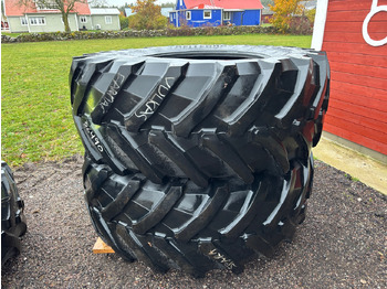 : foto do cabeçalho