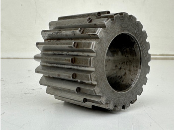 : foto do cabeçalho