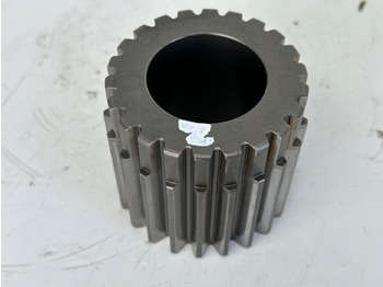 : foto do cabeçalho