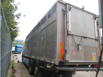 Camião transporte de gado DAF XF 106.460, MENKE-JANZEN, UNFALL-FAHRBAR!!: foto 4